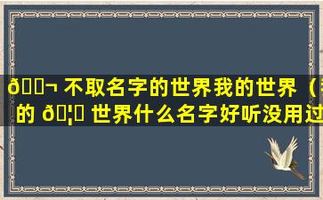 🐬 不取名字的世界我的世界（我的 🦟 世界什么名字好听没用过的）